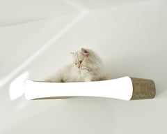 weiß,  gestrichen (000x) - Bild 1