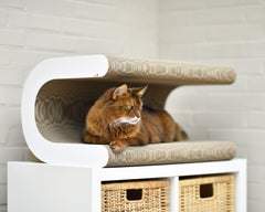 weiß,  gestrichen (000x) - Bild 1