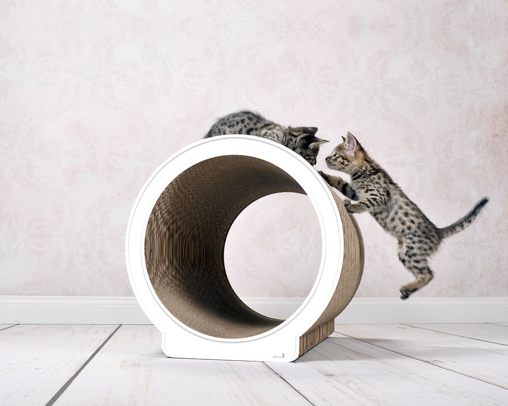 weiß mit Rand (000) - Bild 2