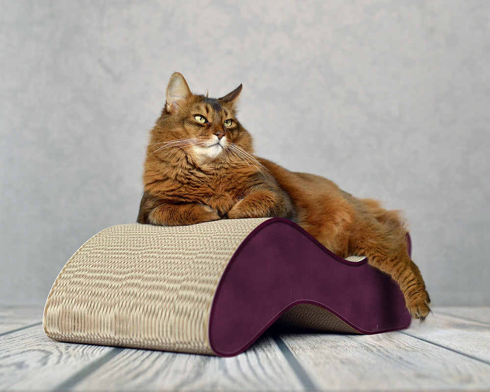 violett (070) - Bild 1