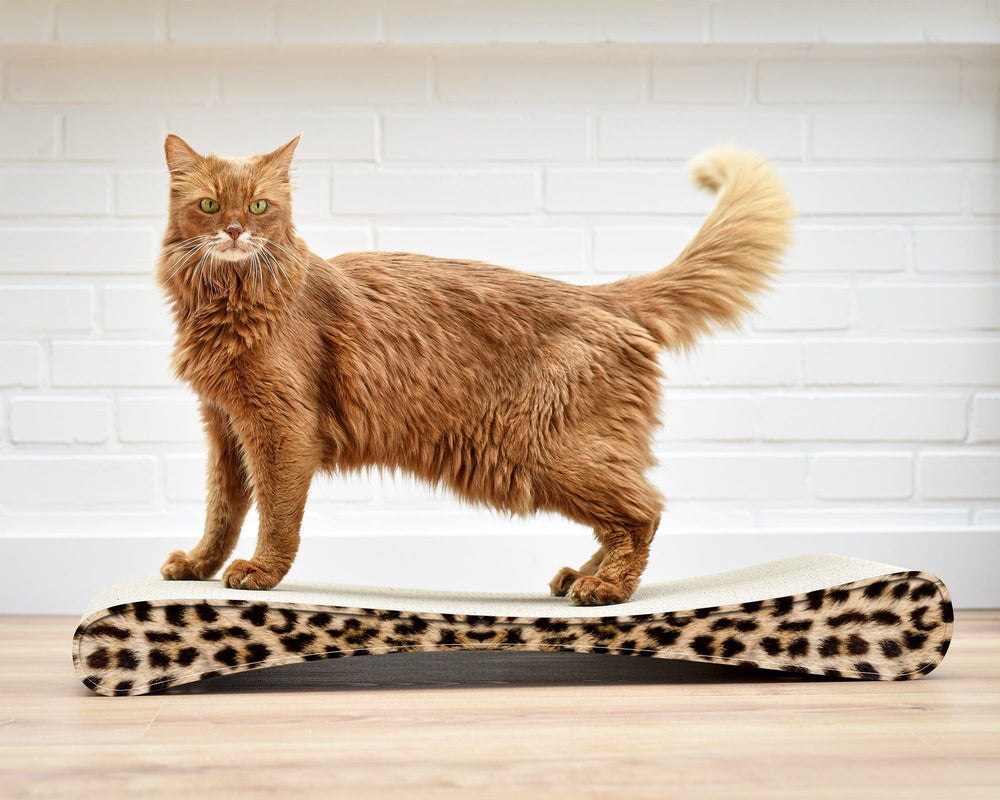 gepard (052) - Bild 3