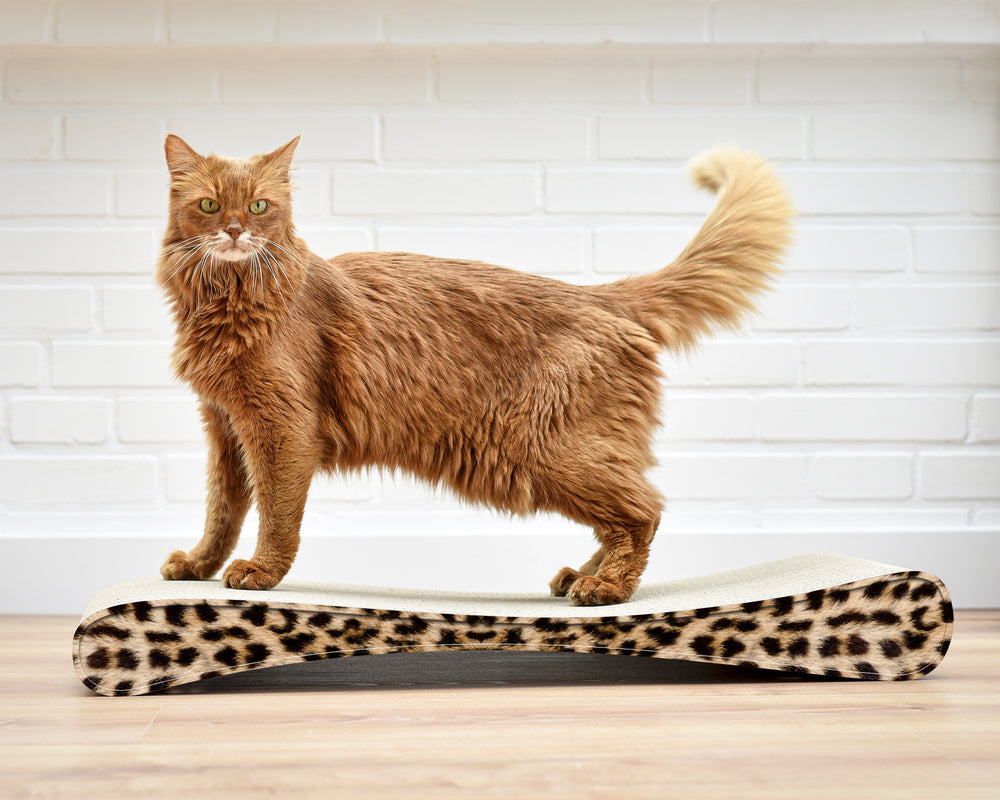 gepard (052) - Bild 3