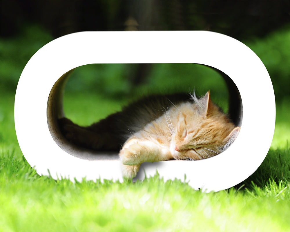 weiß,  gestrichen (000x) - Bild 3