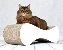 weiß,  gestrichen (000x) - Bild 1