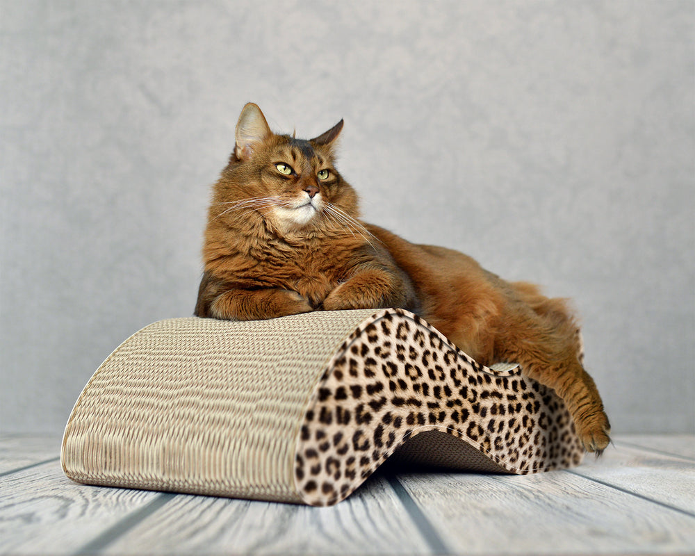 gepard (052) - Bild 1