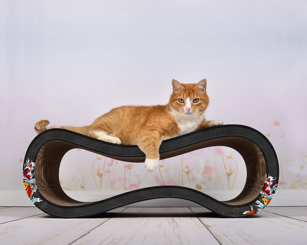 schwarz, Koi (035) - Bild 1