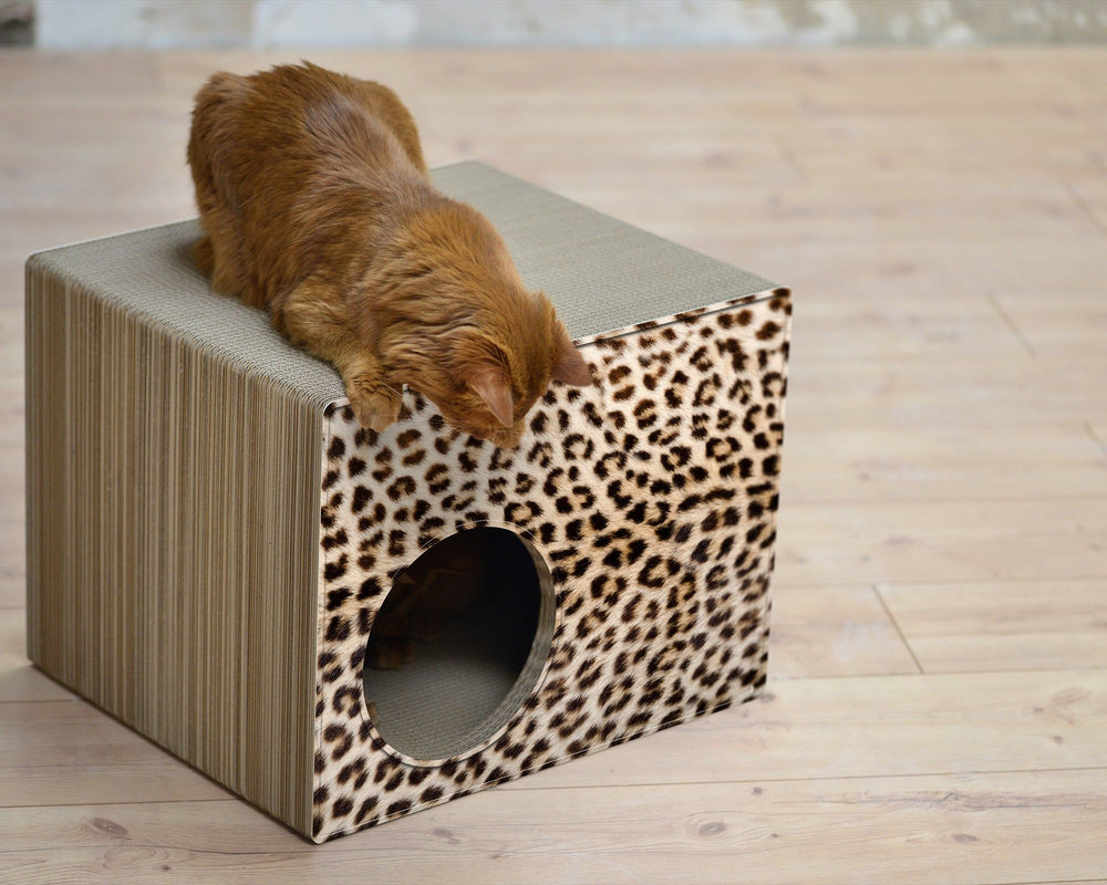 gepard (052) - Bild 1