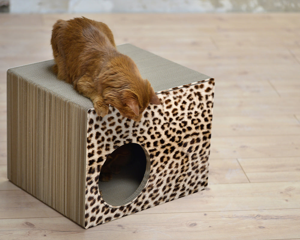 gepard (052) - Bild 1