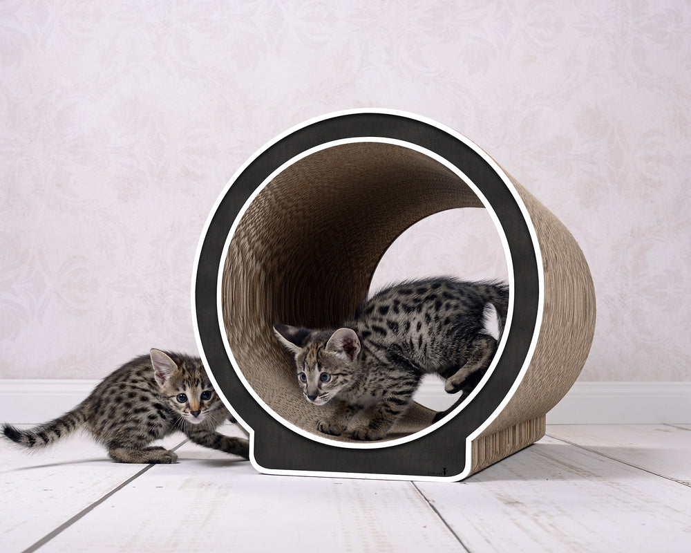 schwarz, weißer Rand (000g) - Bild 1