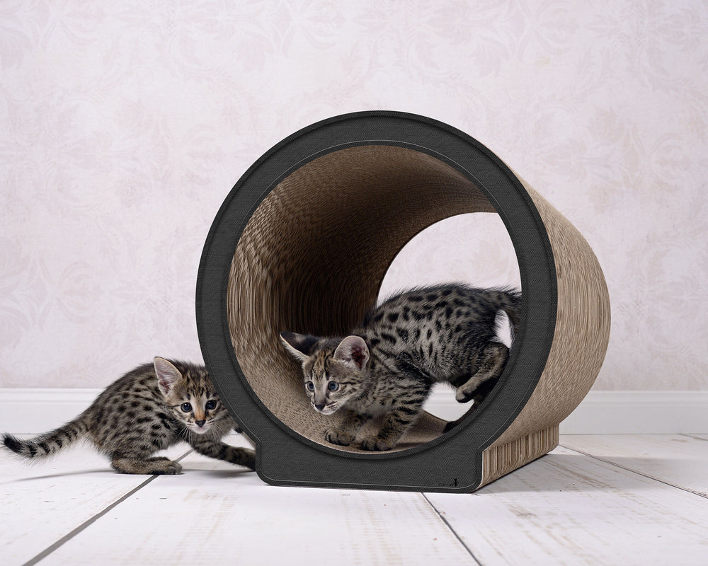 anthrazit (013h) - Bild 1