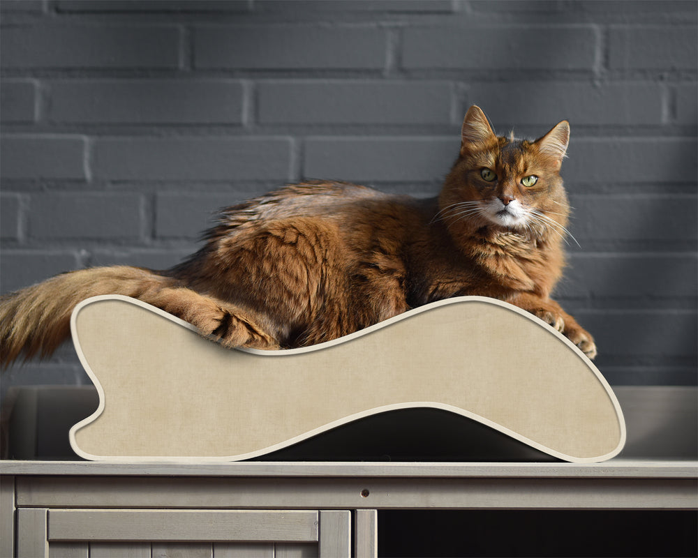 hellbeige (005f) - Bild 1