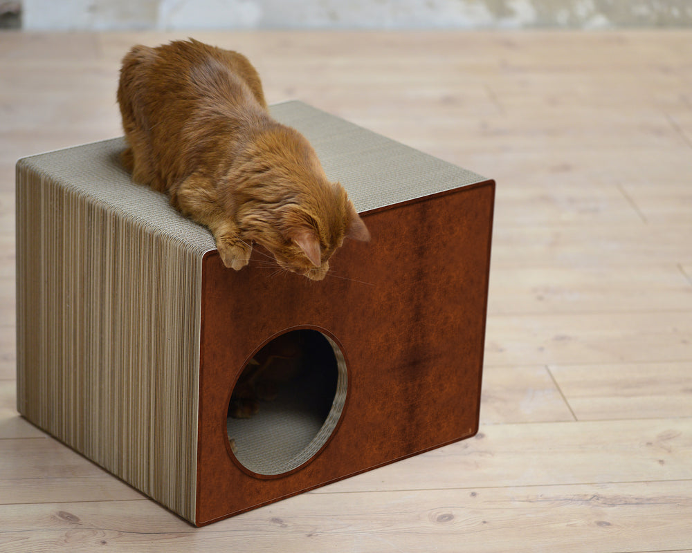 braun antik (002b) - Bild 4