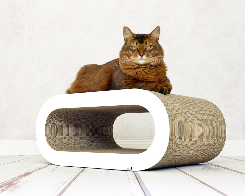 weiß,  gestrichen (000x) - Bild 3