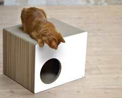 weiß,  gestrichen (000x) - Bild 5