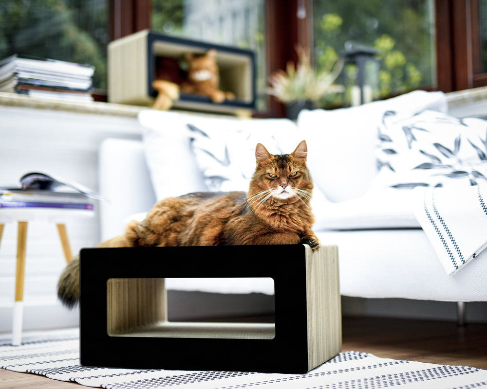 schwarz matt (013x) - Bild 1