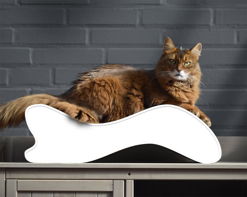 weiß mit Rand (000) - Bild 1