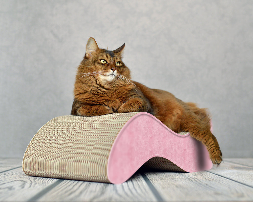 hellrosa (205) - Bild 1