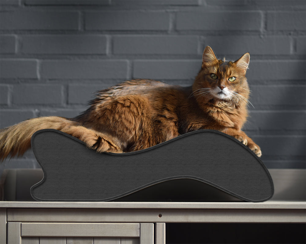 anthrazit (013h) - Bild 1