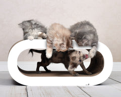 weiß,  gestrichen (000x) - Bild 2