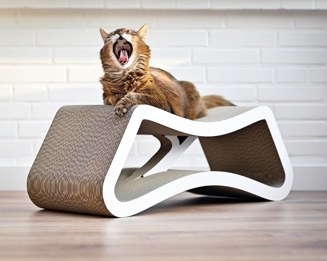 LE PONT Design Katzenmöbel