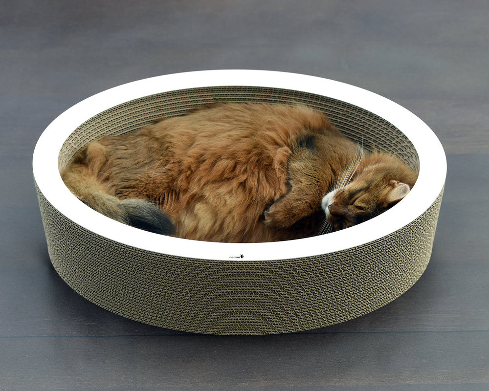 weiß,  gestrichen (000x) - Bild 3