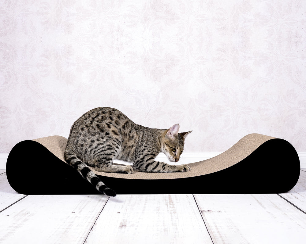 schwarz matt (013x) - Bild 1