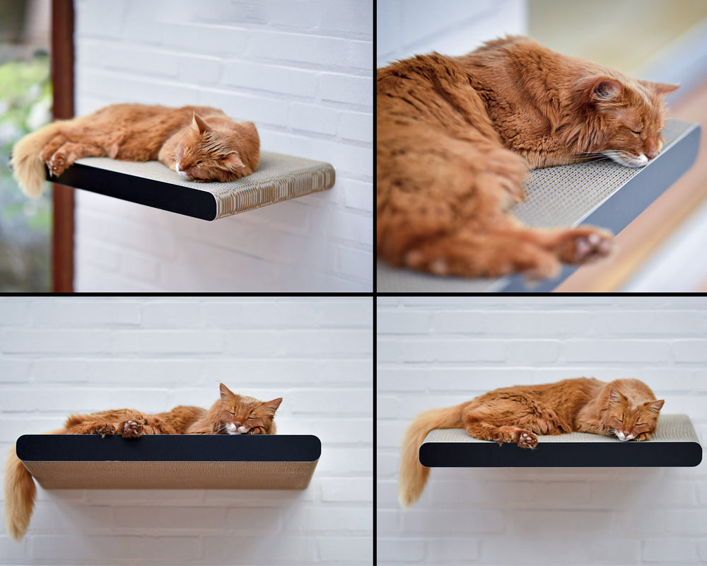 schwarz matt (013x) - Bild 3