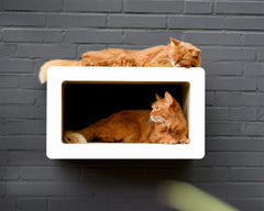 weiß,  gestrichen (000x) - Bild 1