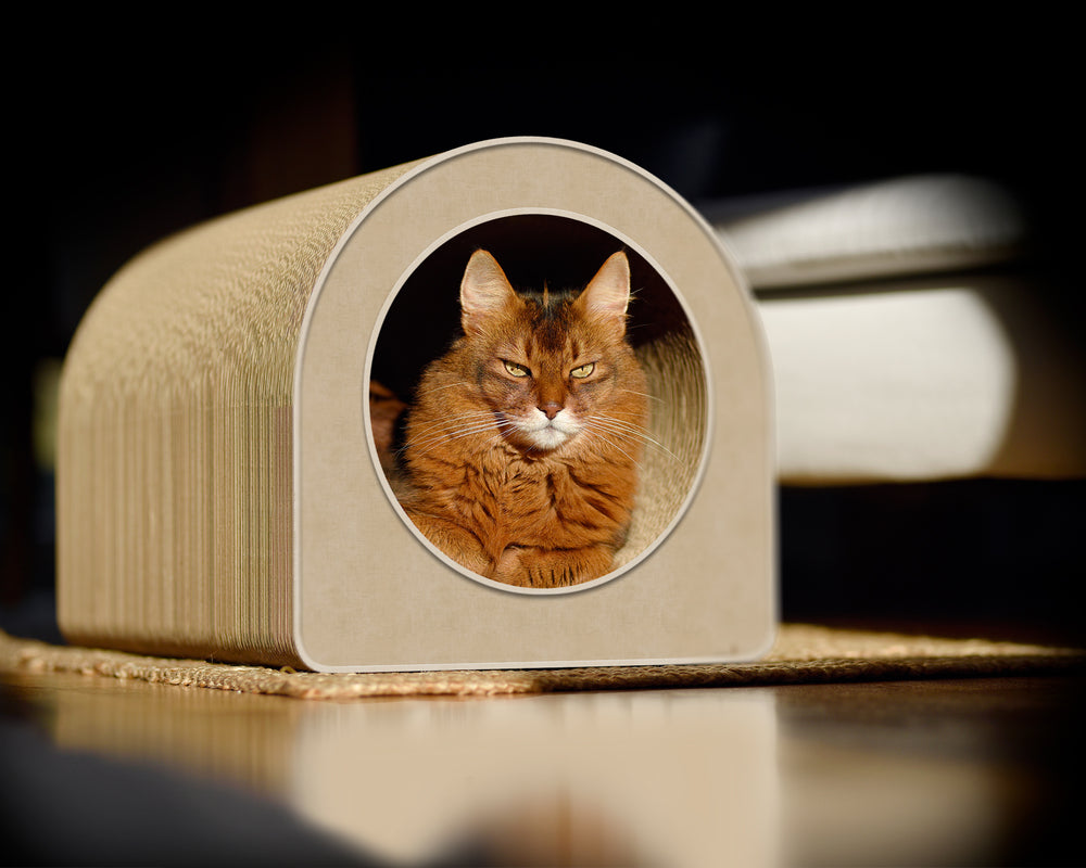 hellbeige (005f) - Bild 6