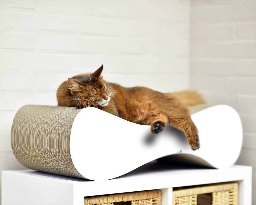 weiß,  gestrichen (000x) - Bild 2