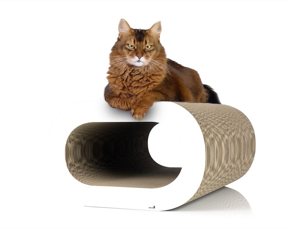 weiß,  gestrichen (000x) - Bild 3