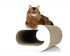 weiß,  gestrichen (000x) - Bild 3