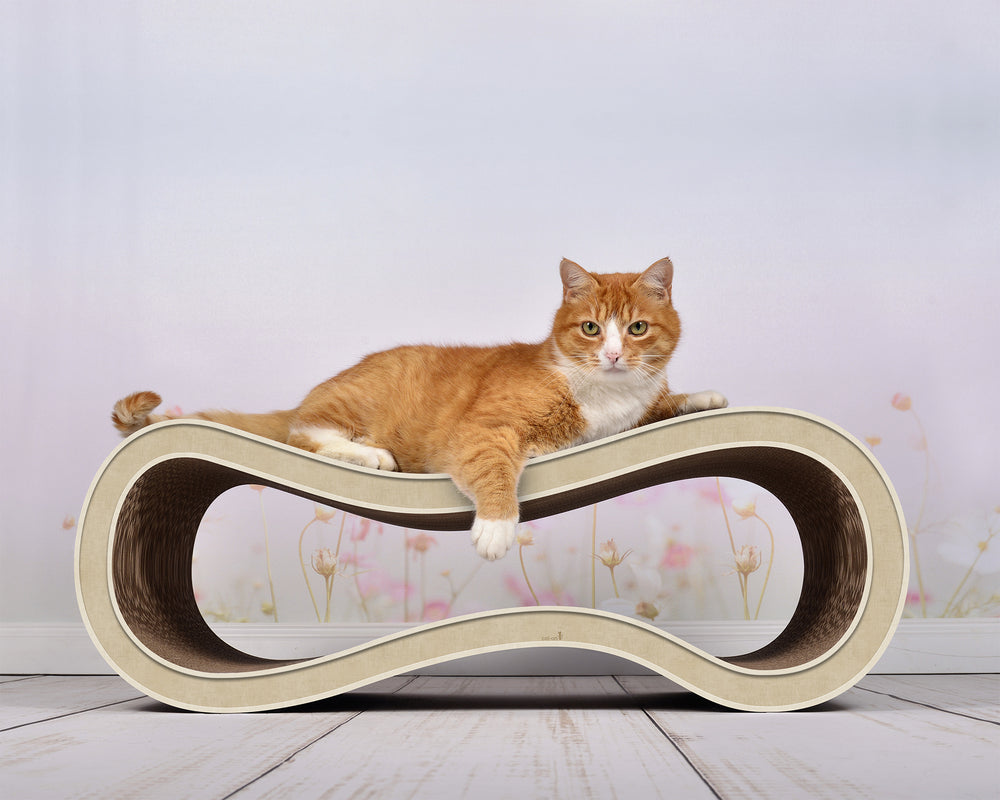 hellbeige (005f) - Bild 6