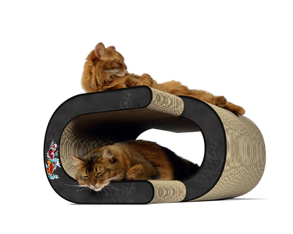 schwarz, Koi (035) - Bild 1