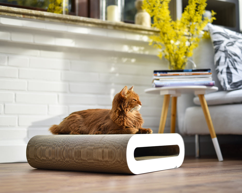 weiß,  gestrichen (000x) - Bild 1