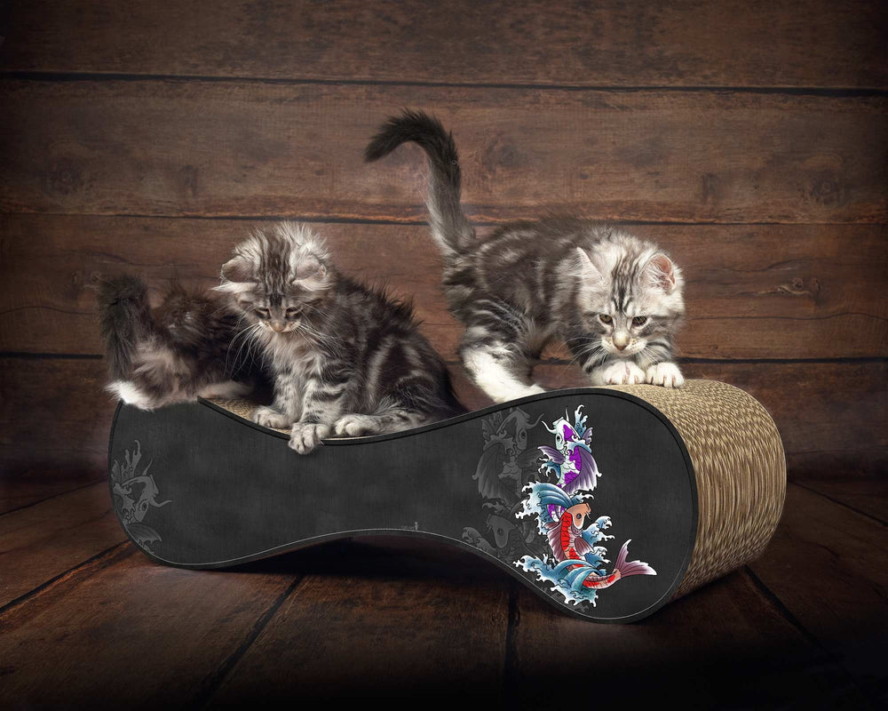 schwarz, Koi (035) - Bild 1