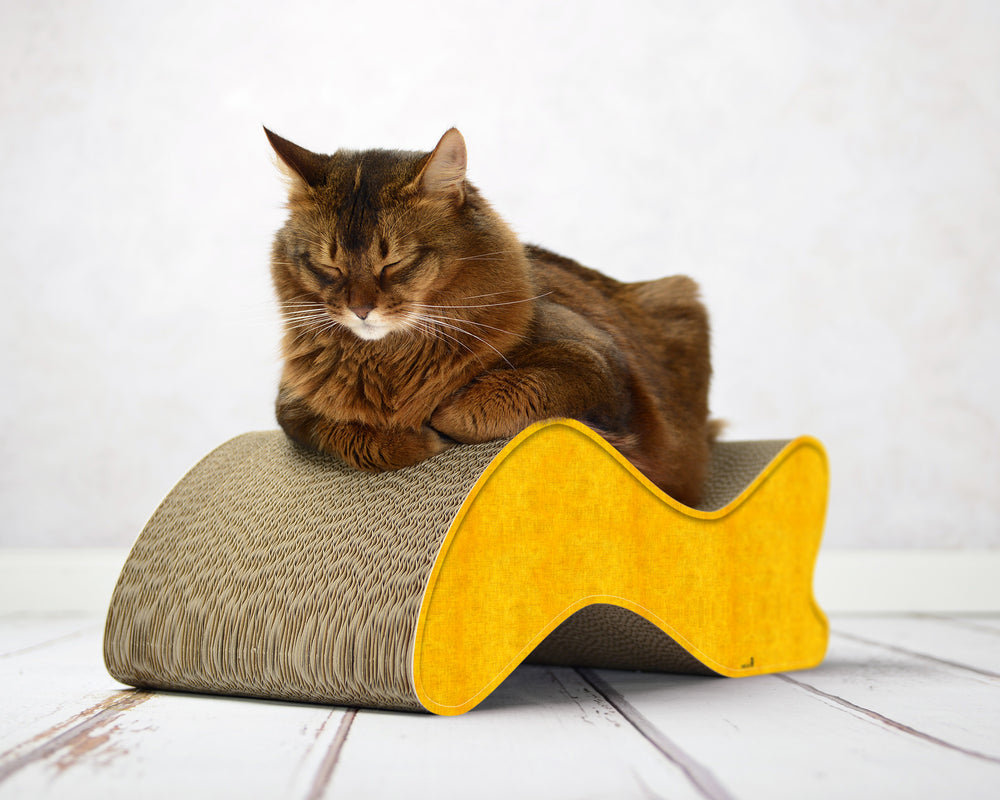 dunkelgelb (004e) - Bild 2