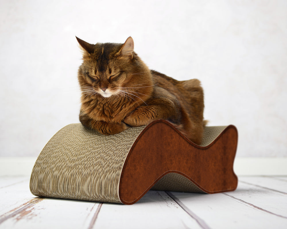 braun antik (002b) - Bild 2