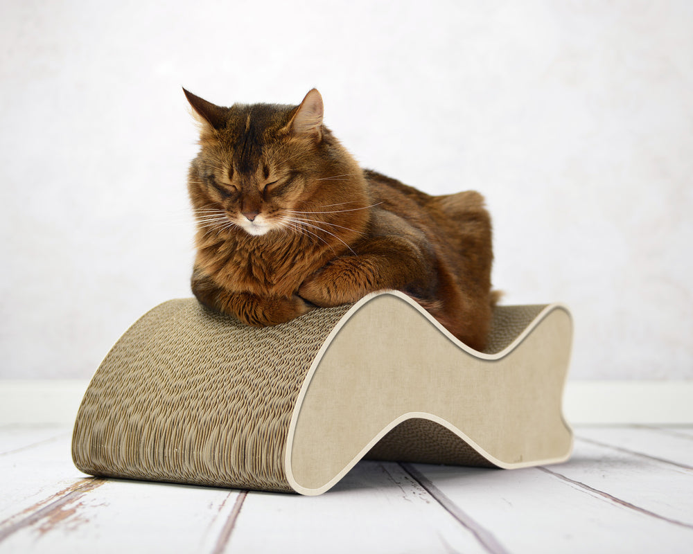 hellbeige (005f) - Bild 1