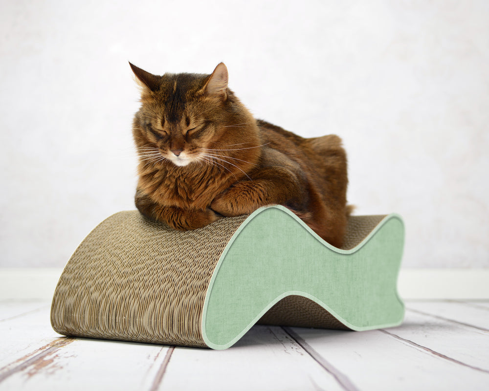 hemlock mintgrün (006h) - Bild 2