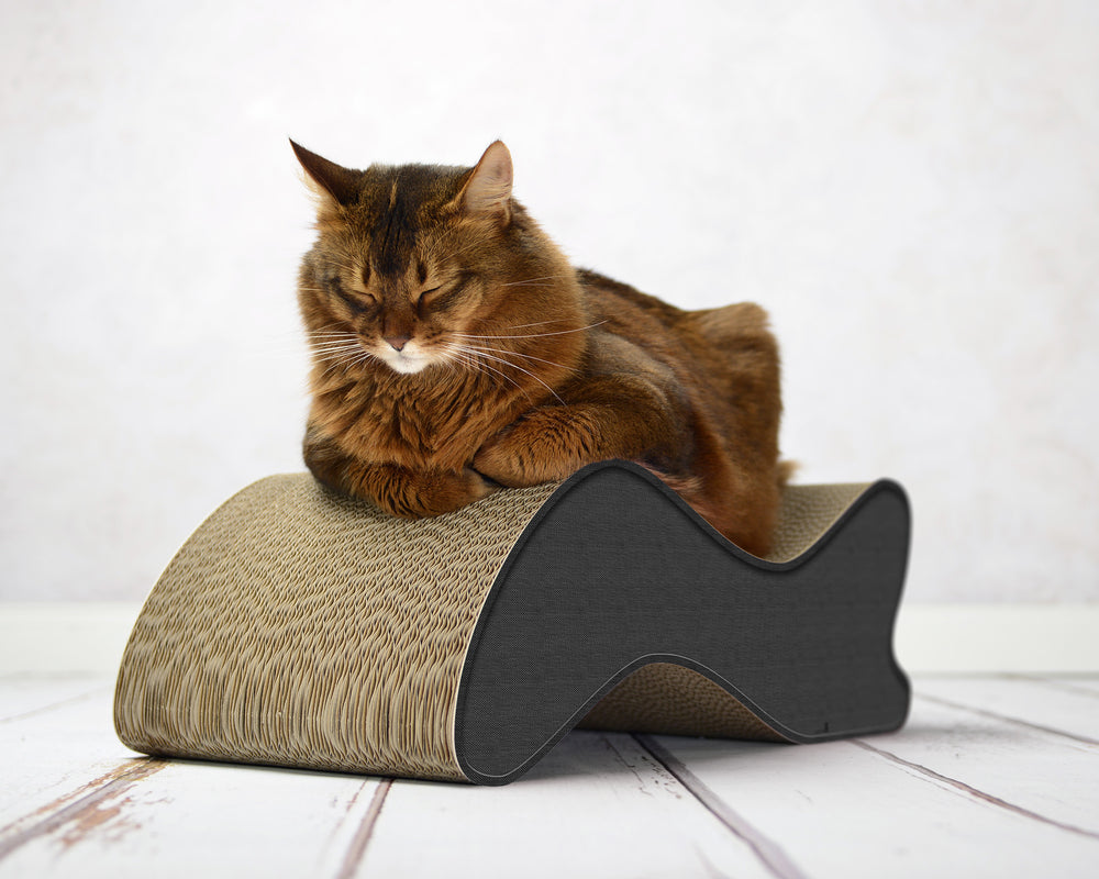 anthrazit (013h) - Bild 2