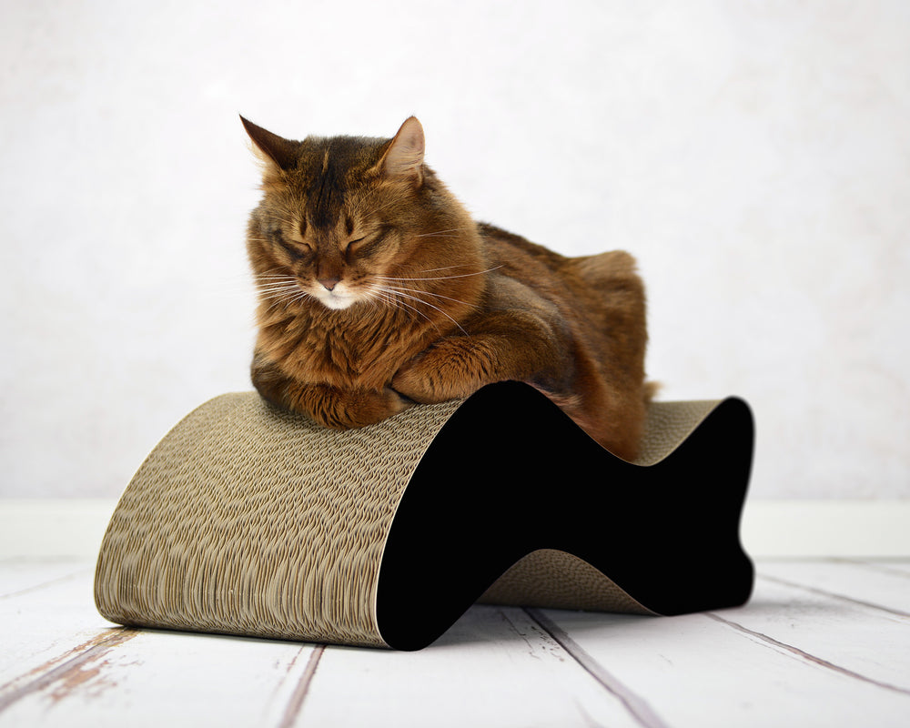 schwarz matt (013x) - Bild 1