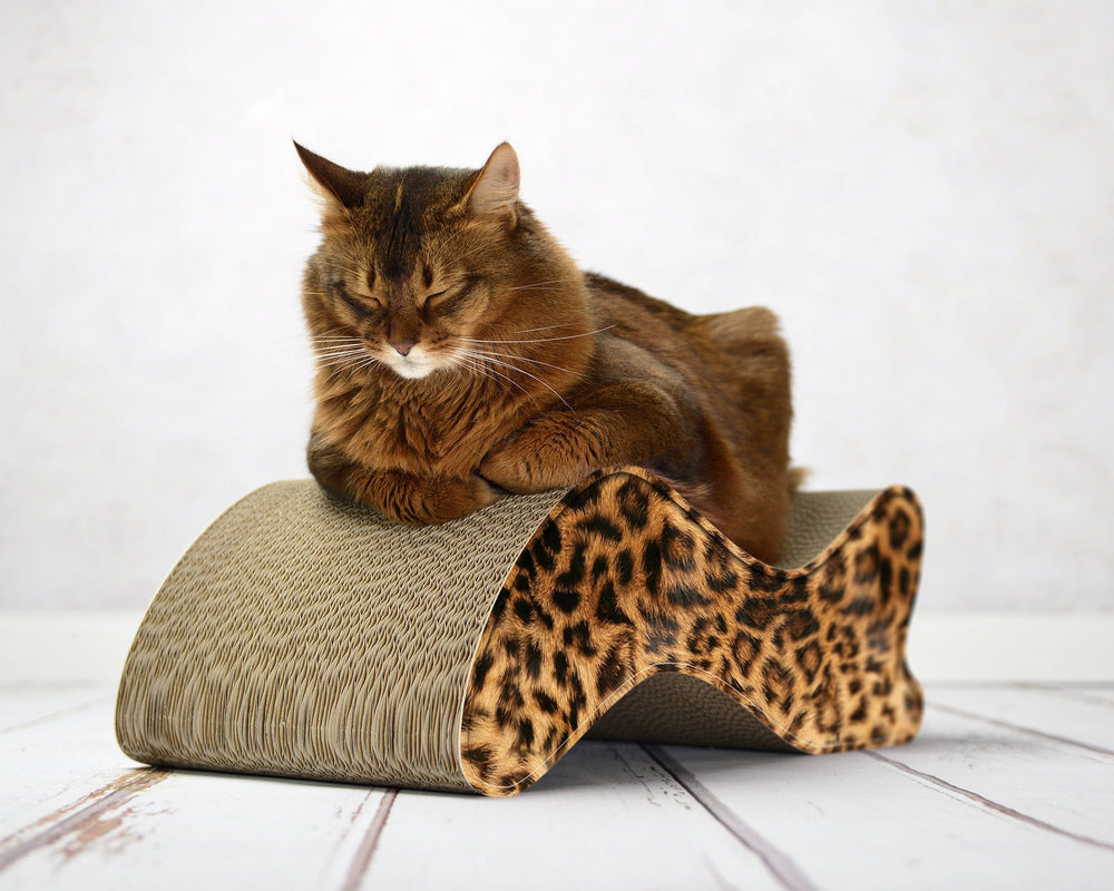 leo (051) - Bild 1