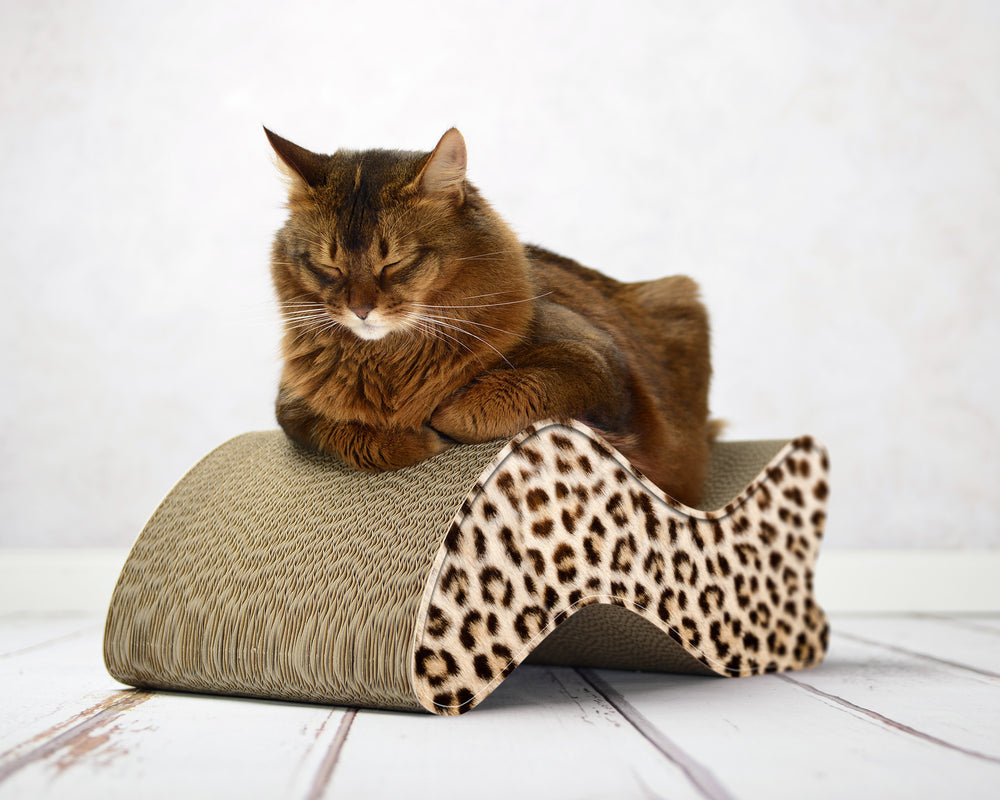 gepard (052) - Bild 1