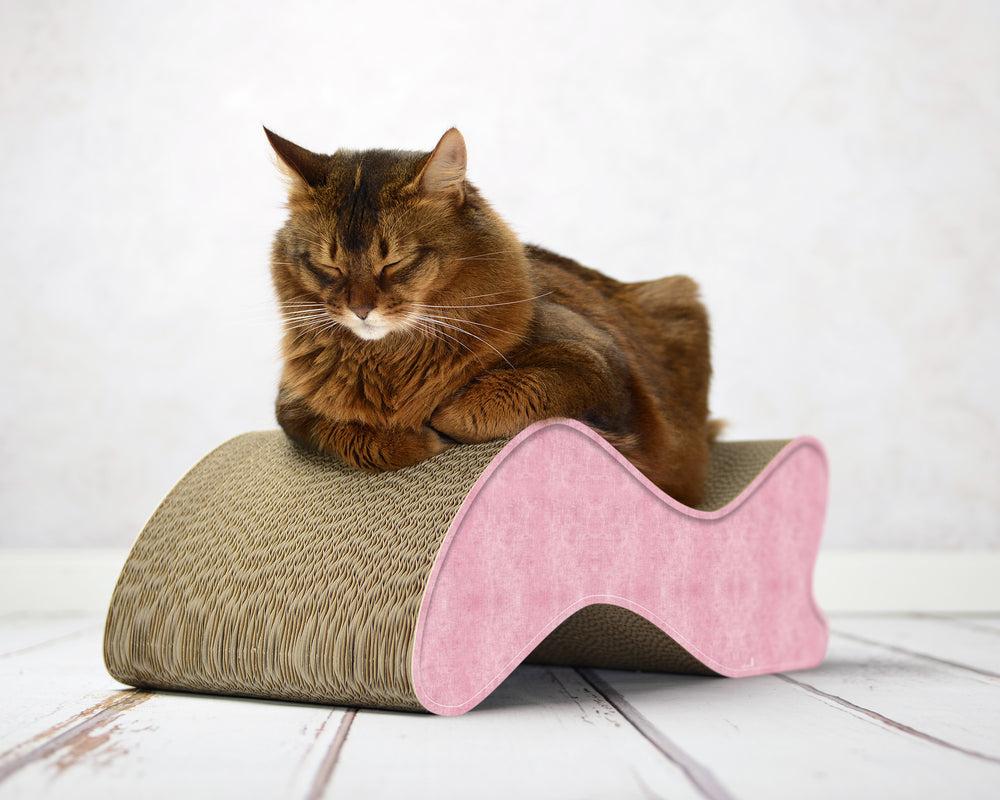 hellrosa (205) - Bild 2