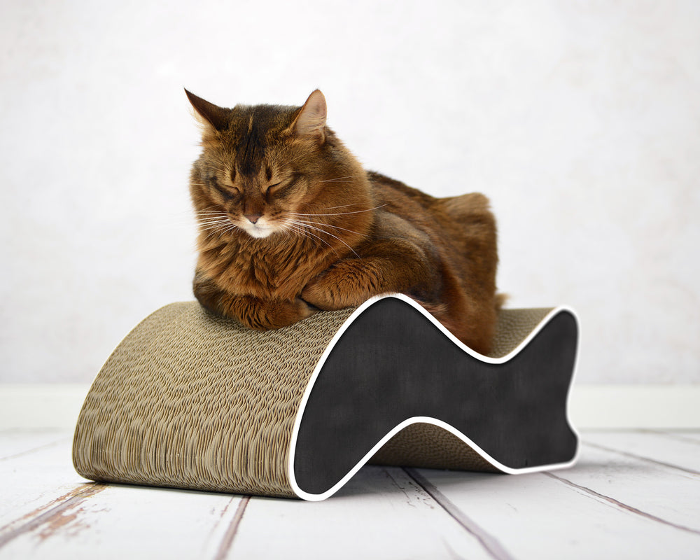 schwarz, weißer Rand (000g) - Bild 2