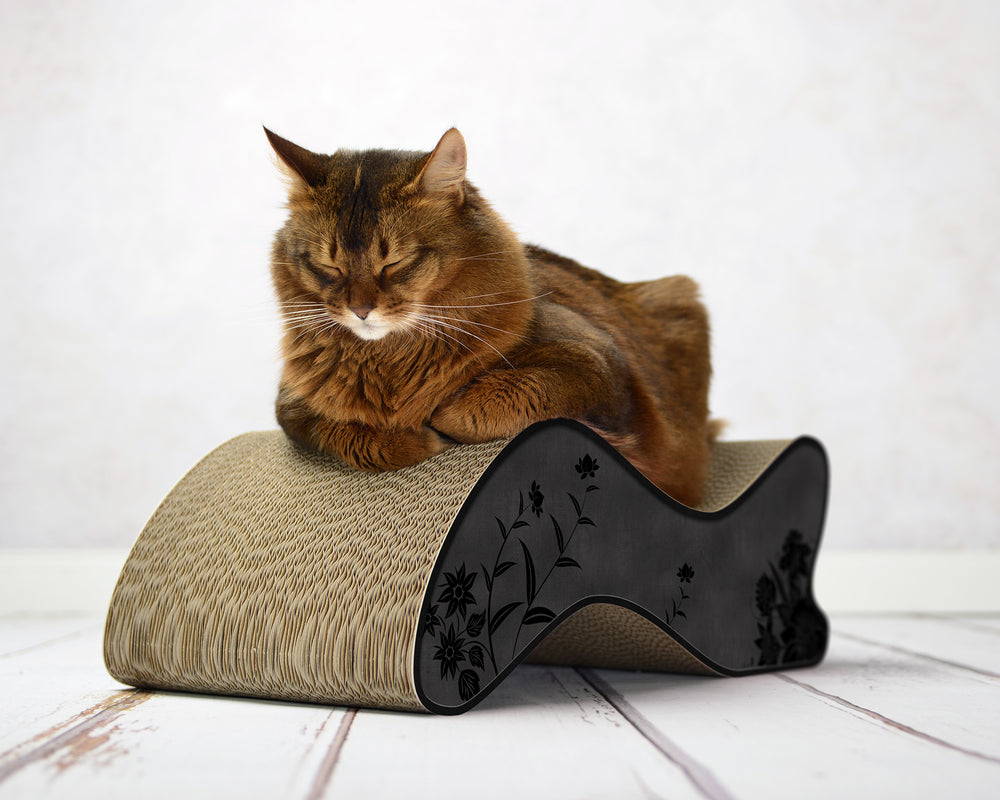 schwarz, schwarze Blumen (013b) - Bild 2