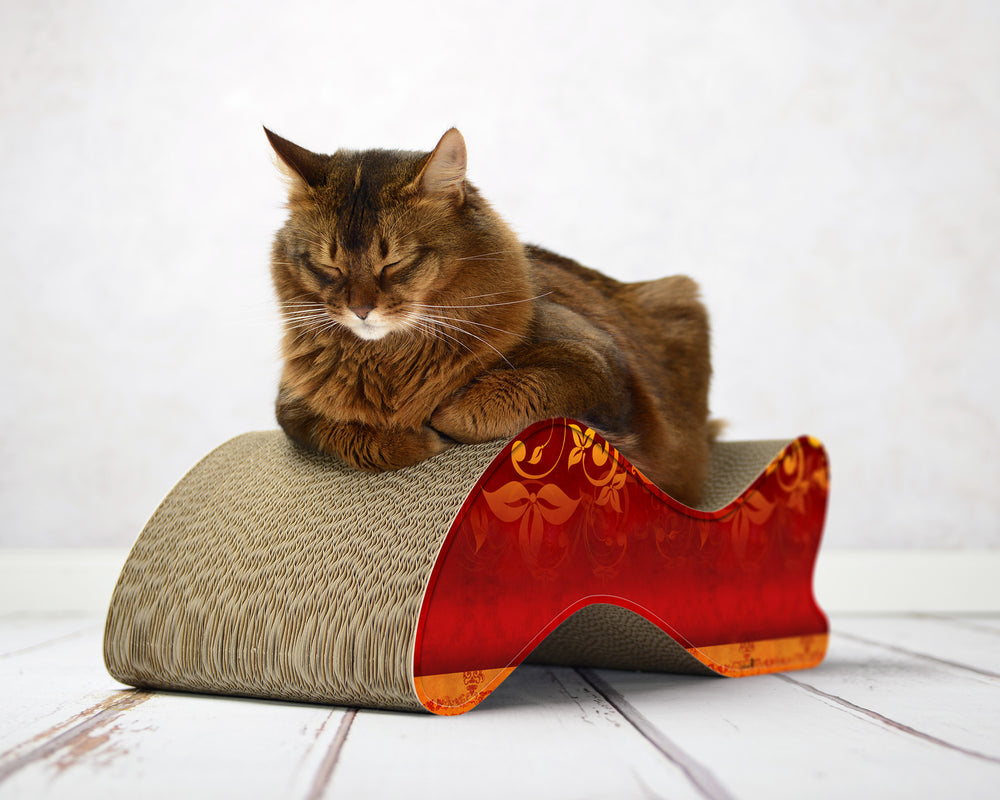 élégance (030) - Bild 2