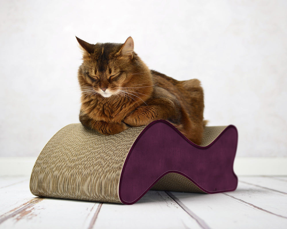 violett (070) - Bild 1