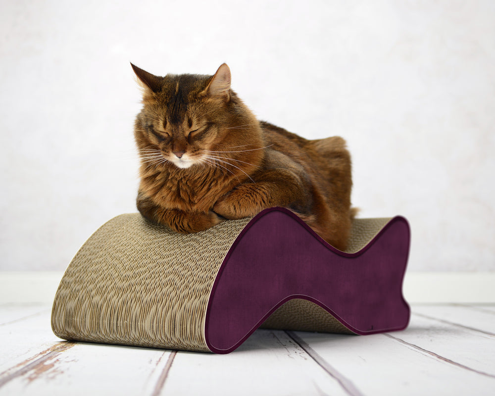 violett (070) - Bild 1